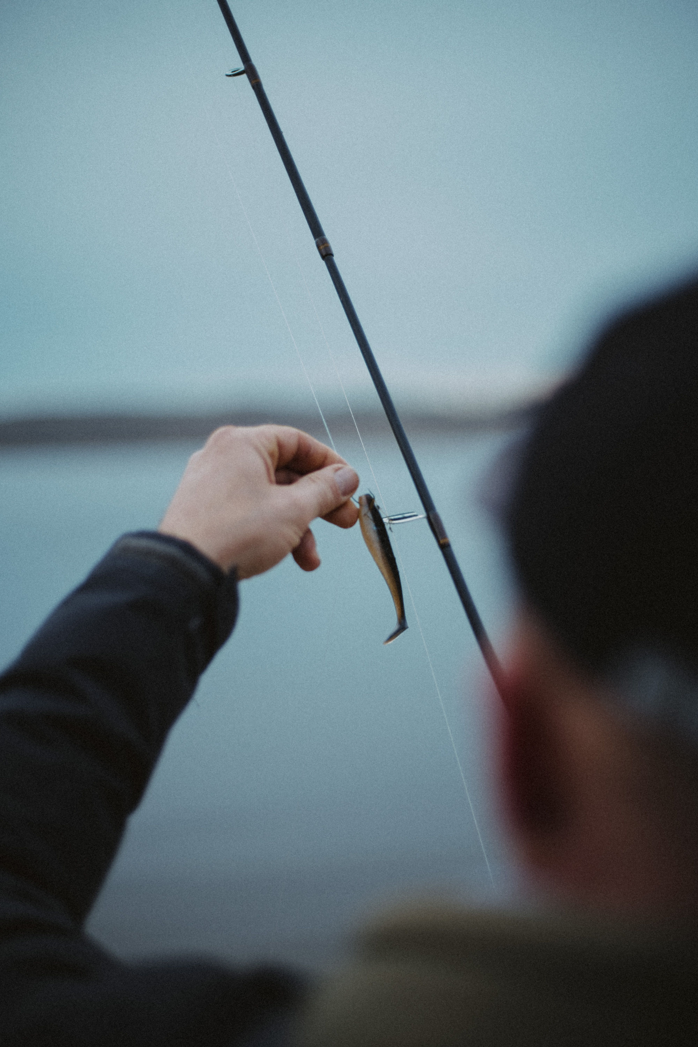 Hooked Online fishing products