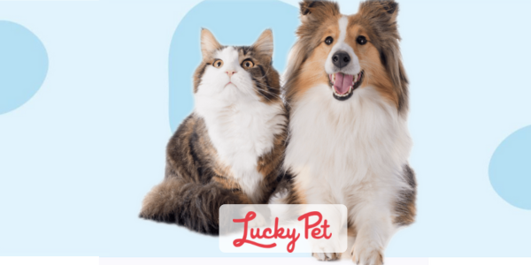 From living-room startup to 50% online revenue: How Lucky Pet scaled with Neto